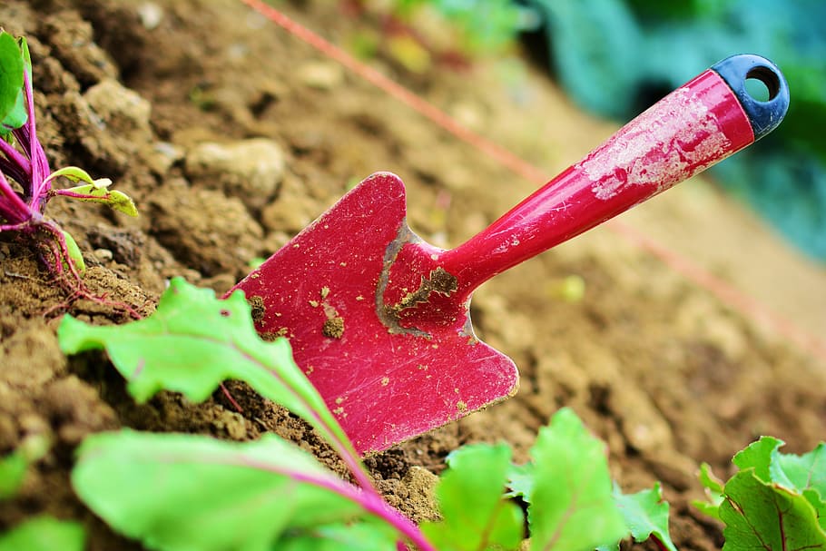 red, trowel, soil, Gardening, Garden, Blade, Plant, garden tools, garden soil, work