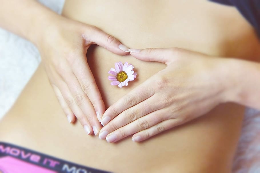 woman, holding, stomach, pink, yellow, marguerite daisy flower, navel, close-up photography, belly, heart
