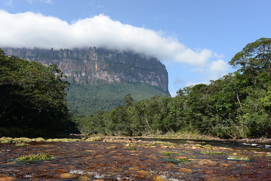 nature, mountains, venezuela, lake, plant, tree, beauty in nature, scenics - nature, cloud - sky, mountain