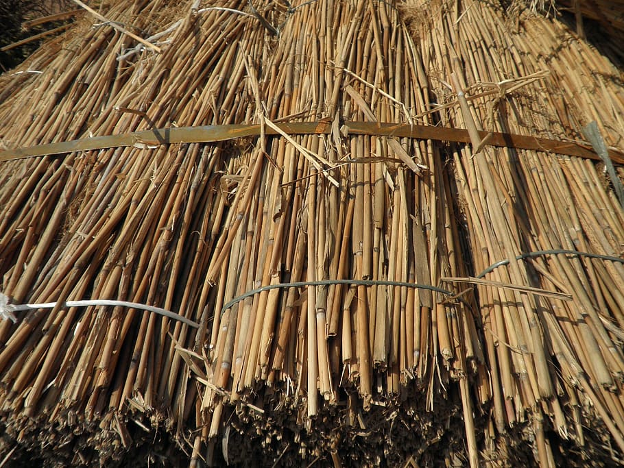 Reed, Grass, Roofing Material, Nature, dry, golden brown, roofing, brown, day, thatched roof