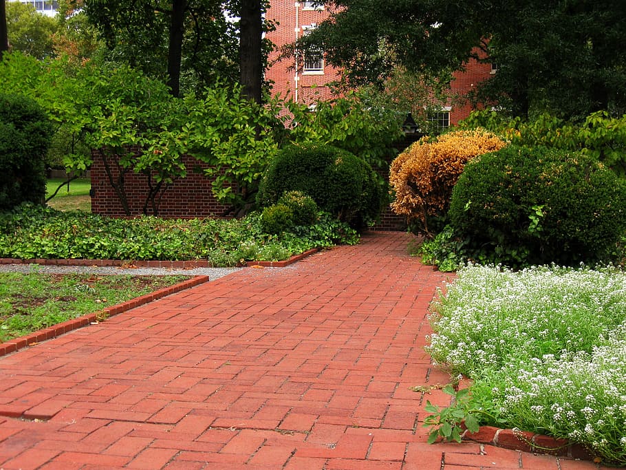 Clinker, Pathway, Bricks, Philadelphia, downtown, path, brick, flowers, horticulture, walkway