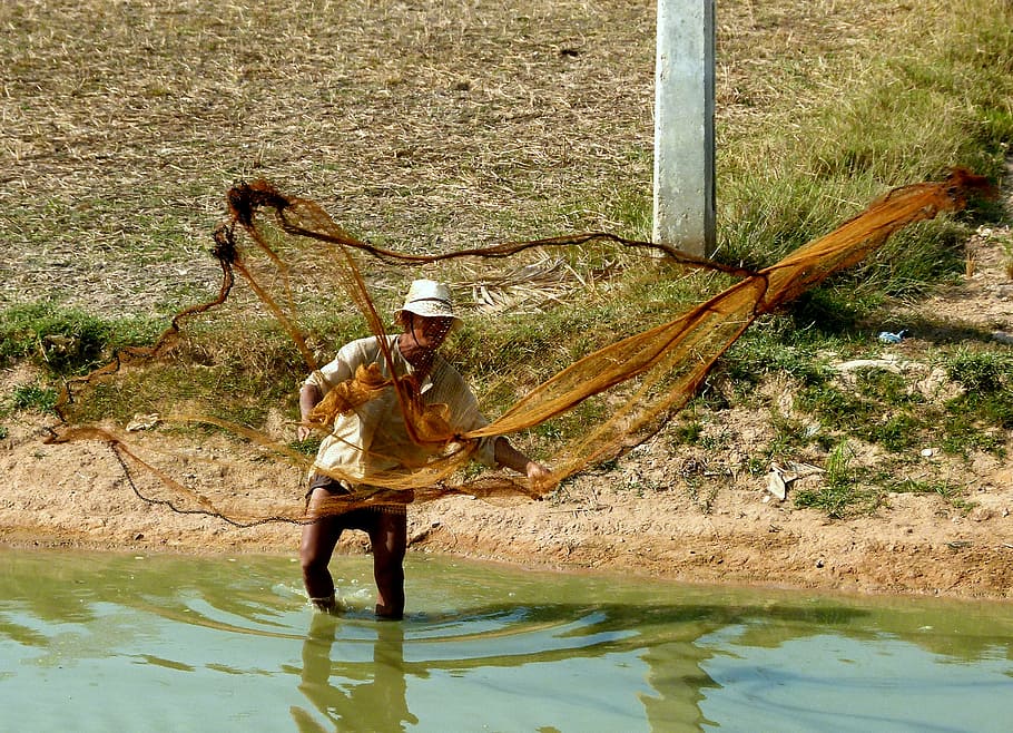asia, fischer, fishing net, fish, people, cultures, fisherman, water, one person, real people