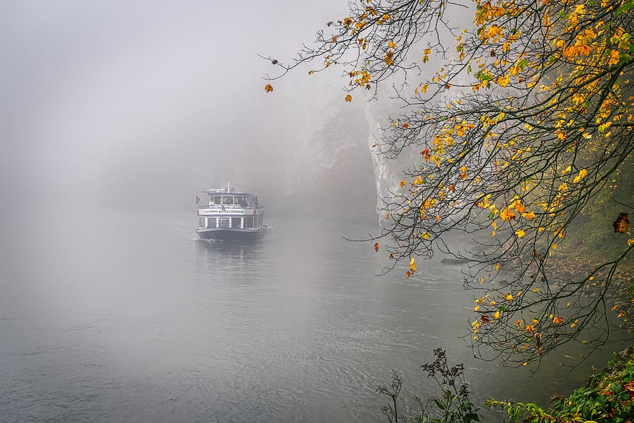 fog, ship, river, danube, nature, fantasy, autumn, leaves, branches, fairytale
