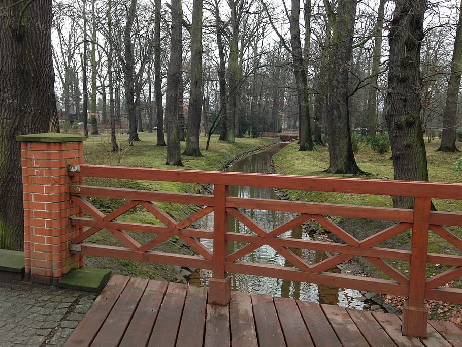 bridge, park, trees, wood, wroclaw, nature, tree, wood - Material, outdoors, footpath