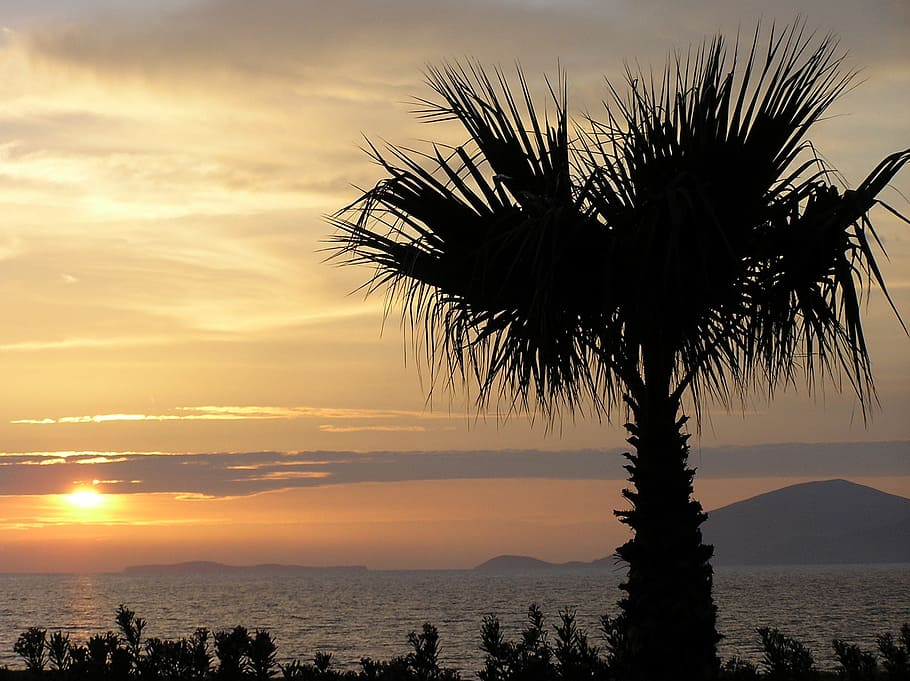 sunset, evening sky, kos, island, greece, holiday, sea, mood, palm, roma table