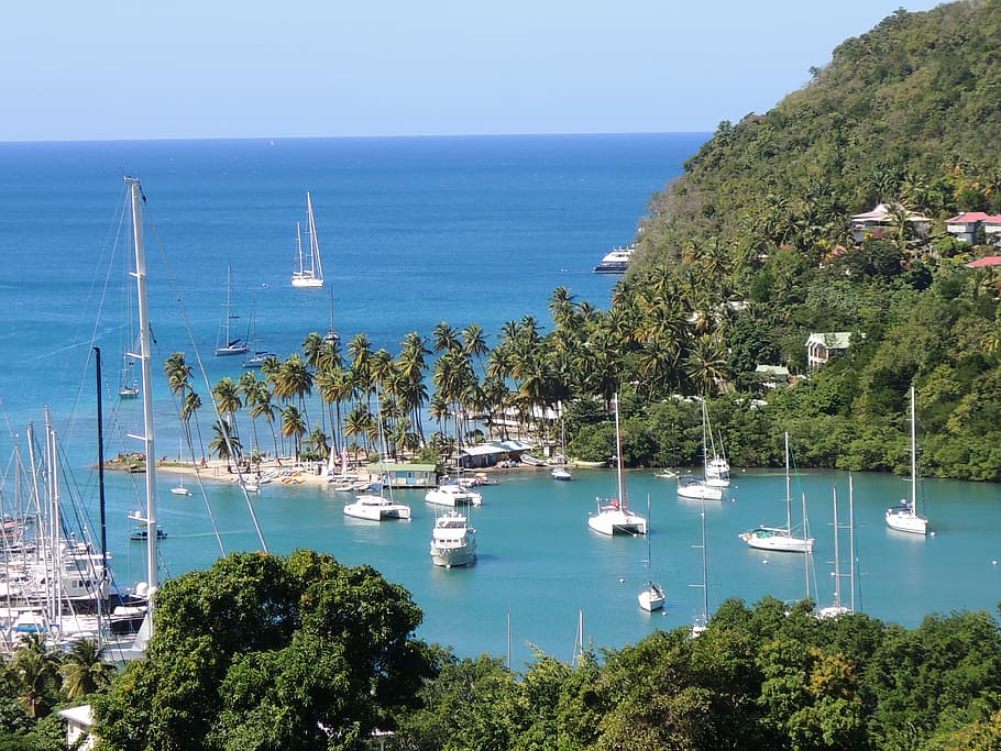 yachts, island, st lucia, caribbean island, saint lucia, sea, blue, water, nautical vessel, transportation