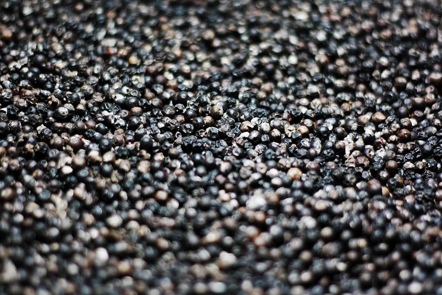 pebble stone lot, black, seeds, food, spice, pepper, corns, still, bokeh, full frame