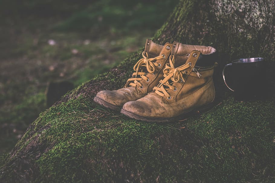 pair, brown, leather work shoes, tree, boots, cup, daylight, shoes, grass, hiking