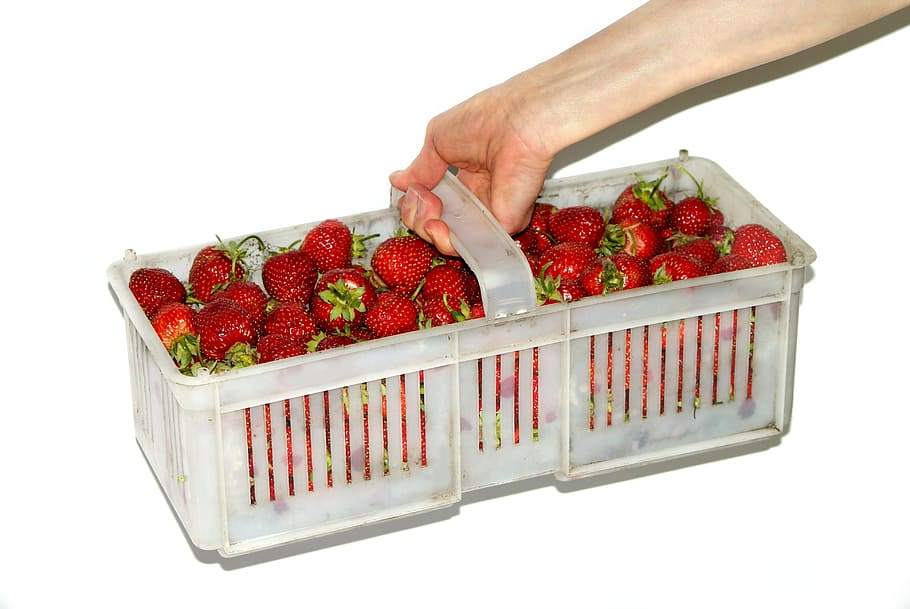 Shopping Cart, Strawberries, Strawberry, eating, food, a single piece of fruit, the hand, hand, woman, the background