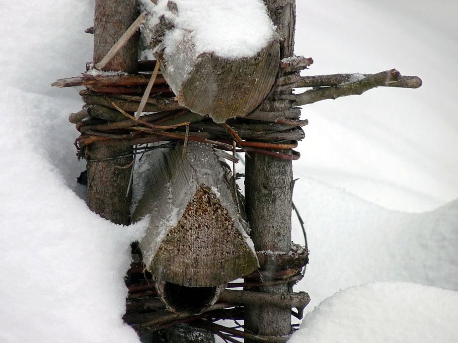 hash, fence, pole, skived, snow, cold temperature, winter, nature, frozen, close-up