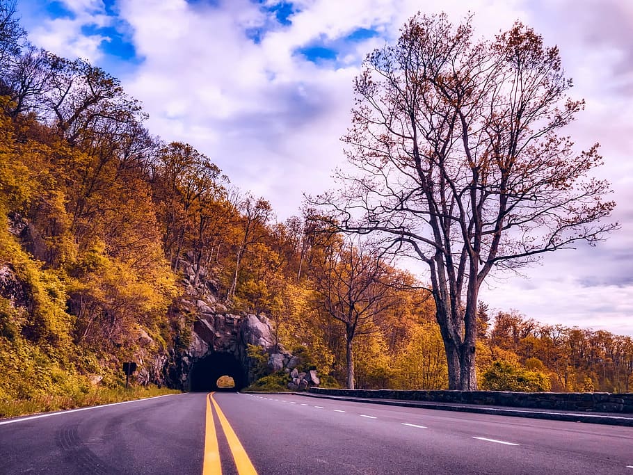 road, trees, shenandoah valley, virginia, fall, autumn, travel, sky, clouds, landscape
