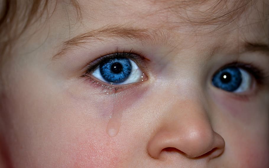 closeup, foto, gadis, wajah, mata anak-anak, mata, mata biru, emosi, perasaan, ekspresi