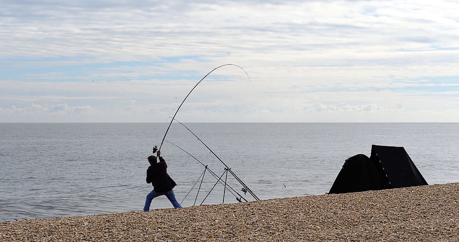 angler, fisherman, fishing, sea, cast, rod, bend, beach, recreation, catch