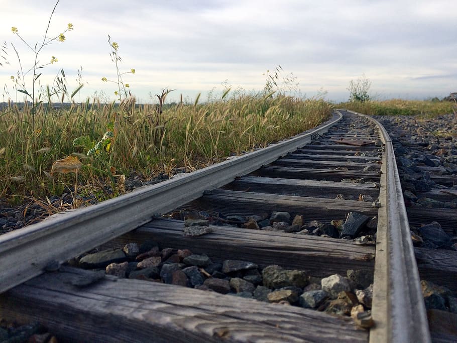 selective, focus photography, train rail, railroad, rural, rail, train, countryside, crossing, railroad tracks