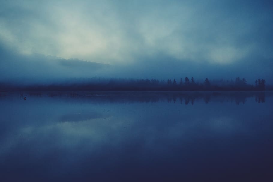 푸른, 몸, 물, 호수, 반사, 안개, 밤, 어둠, 나무, 숲