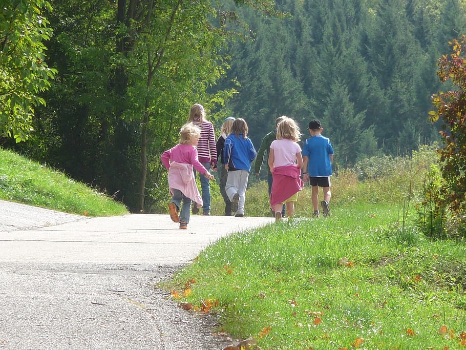 group, kids, walking, asphalt road, daytime, walking on, asphalt, road, family outing, children