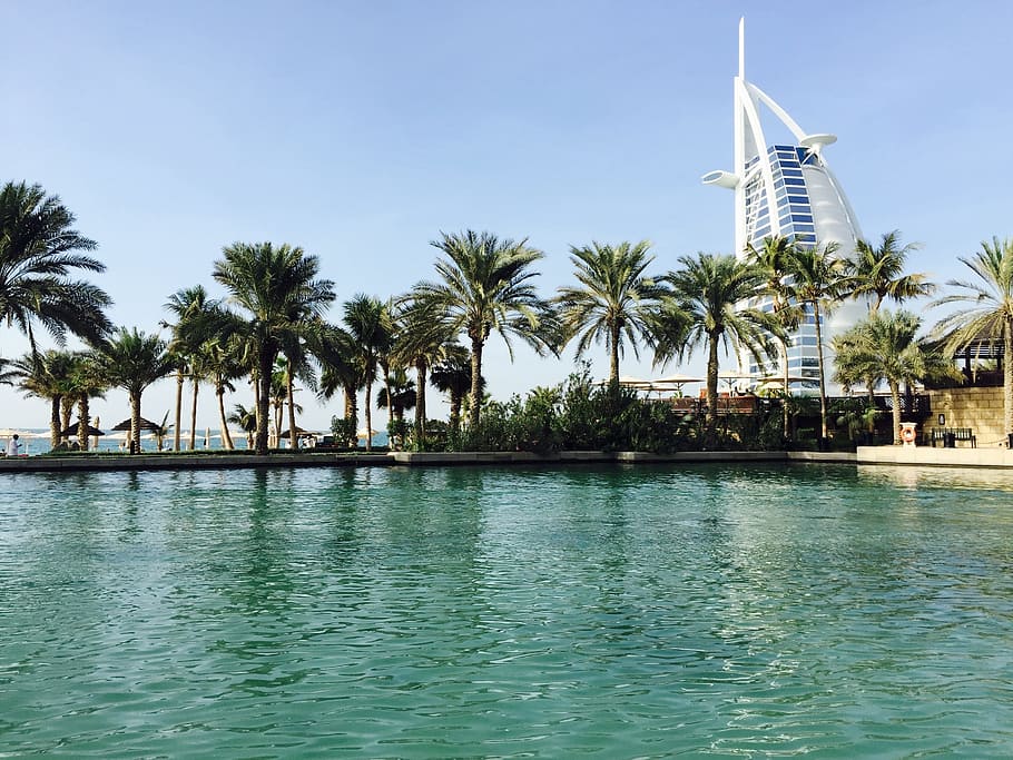 palm trees, daytime, Dubai, Burj Al Arab, Emirates, burj, arab, palm tree, water, travel destinations