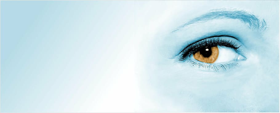 blue eye painting, eye, woman, face, pupil, the background, banner, focus, observation, watch