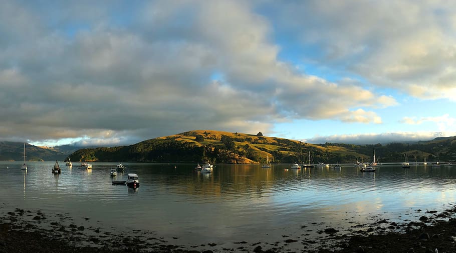 Dawn, Akaroa harbour, boats on water, water, cloud - sky, sky, scenics - nature, reflection, lake, beauty in nature