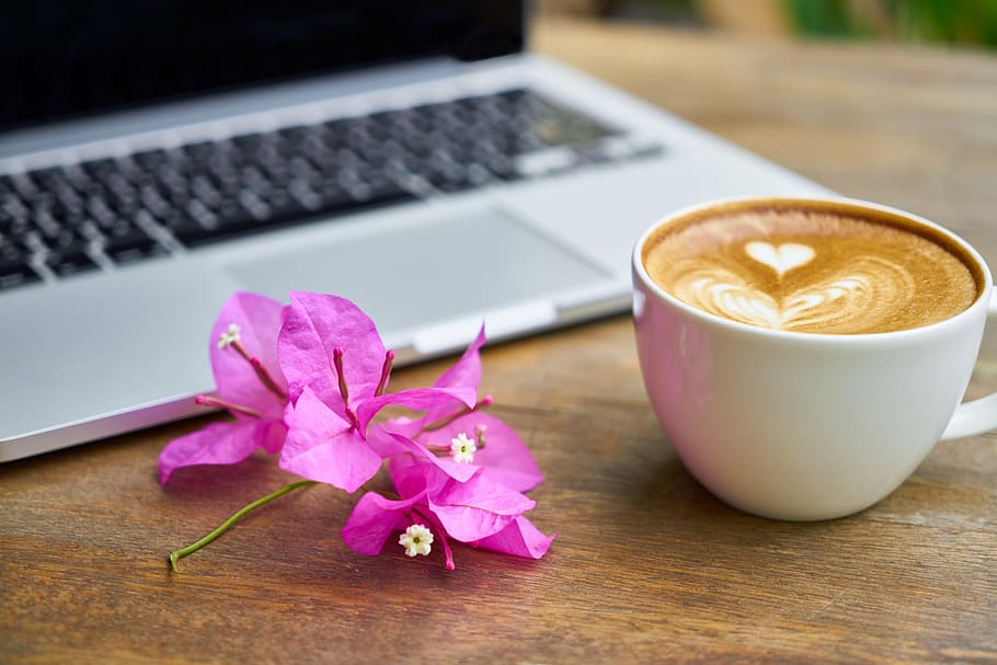 pink, bougainvillea flower, cup, coffee, silver laptop computer, brown, wooden, table, cafe, food