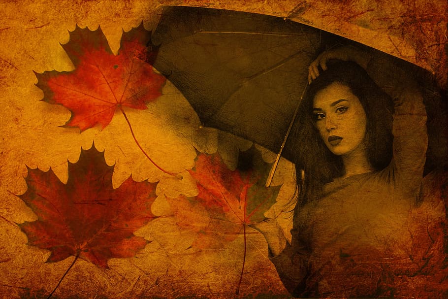 女性, 保持, 傘の絵, 秋, 少女, 傘, 葉, 若い, モデル, 木の葉