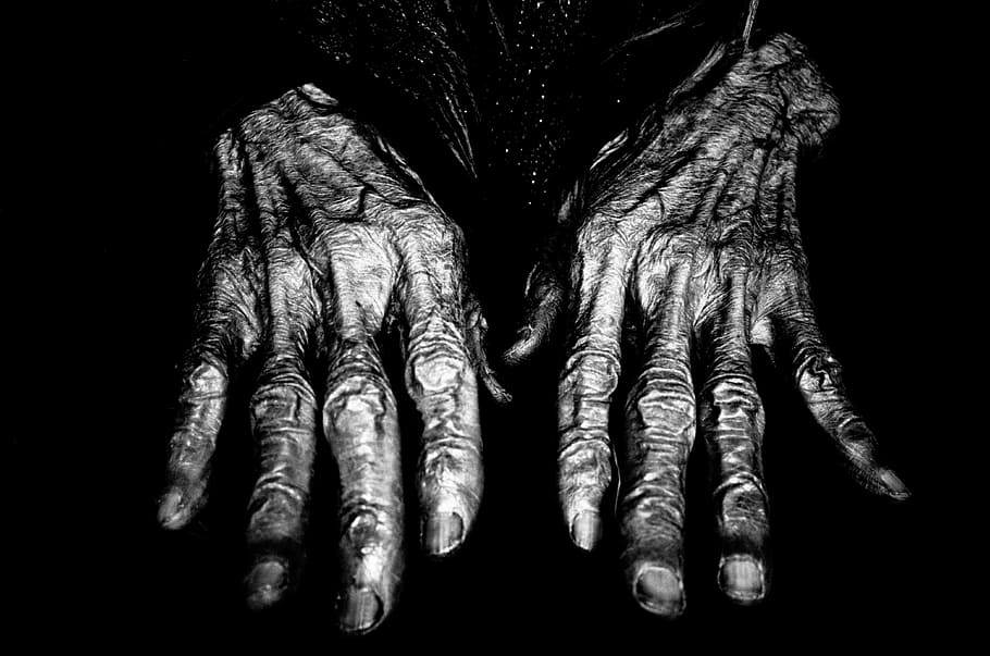 greyscale, photography, human, hands, hand, human hand, human body part, studio shot, finger, one person