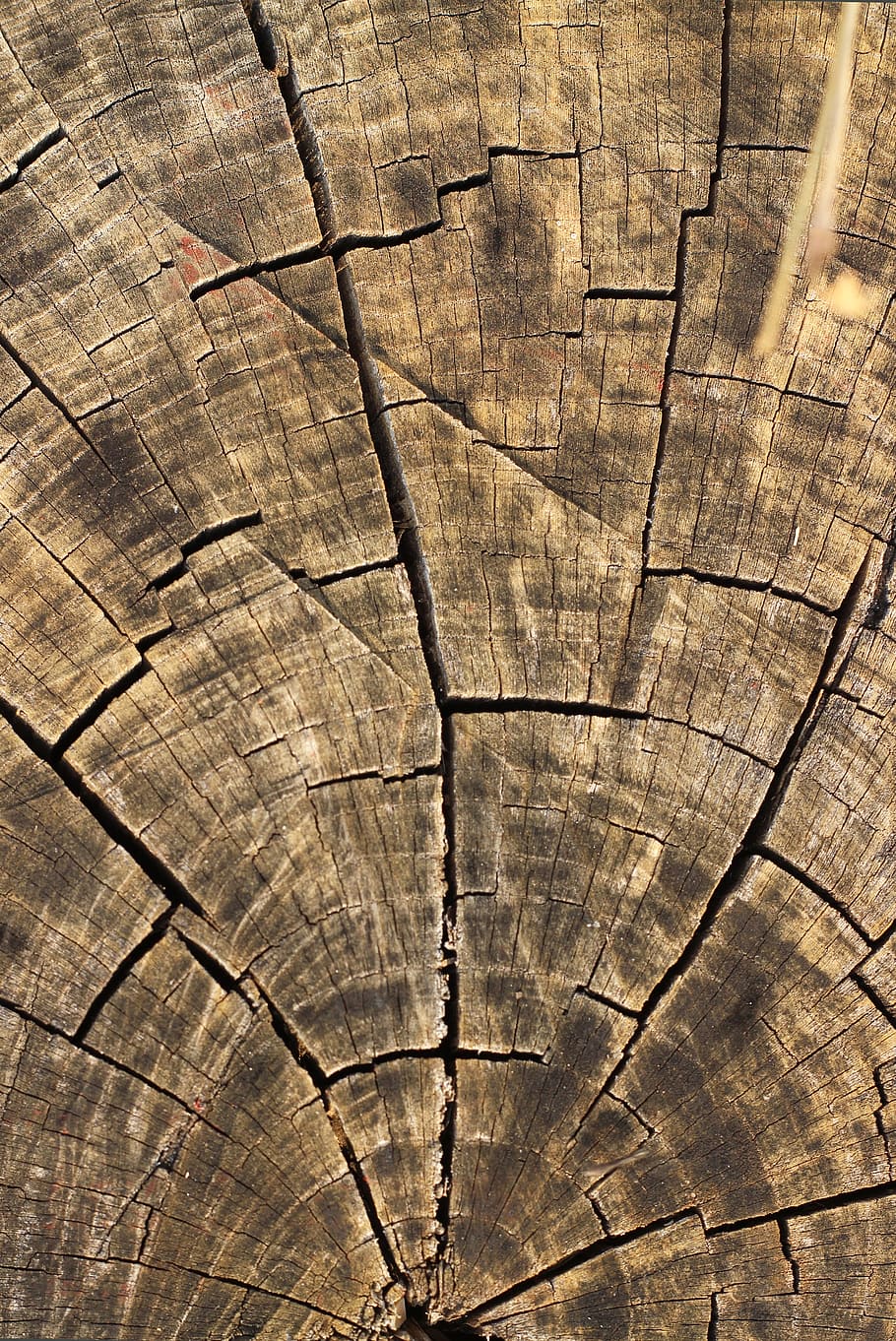cracked, brown, wooden, board, wood, texture, background, nature, background texture, background wood texture