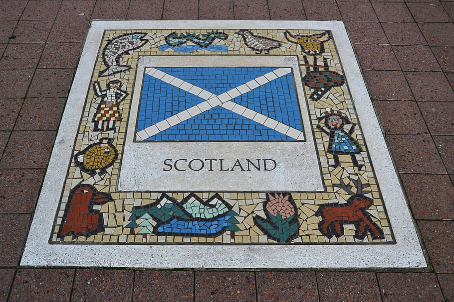 Escocia, emblema del equipo, rugby, emblema, unido, equipo, reino, nacional, país, bandera