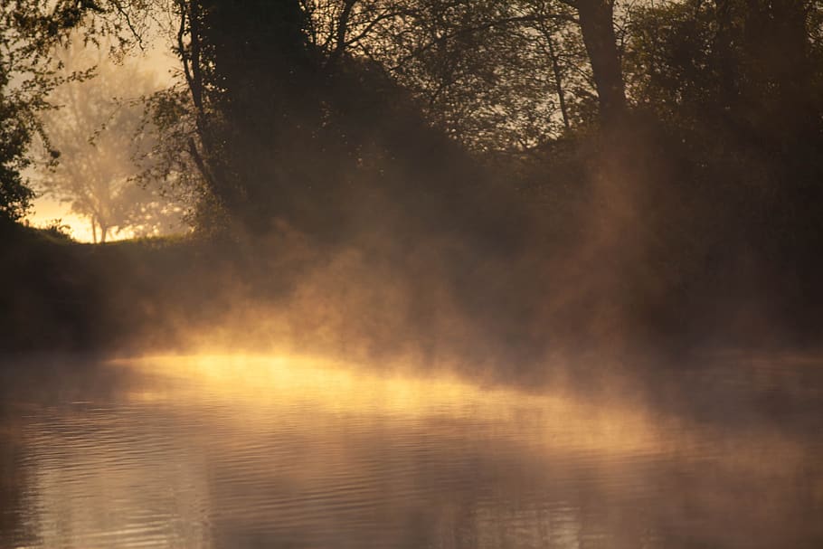 misty river, misty riverbank, river bank, riverbank, misty, misty morning, outdoor, nature, water, river