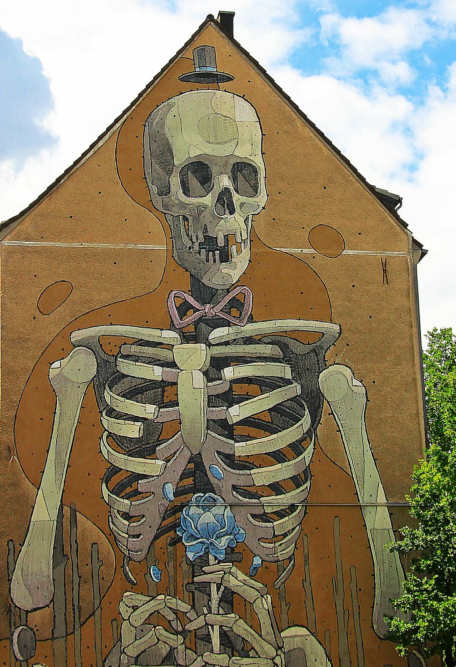 Humano, ilustración esqueleto, al lado, planta, graffiti, Hauswand, esqueleto, arte, rociador, pintura mural