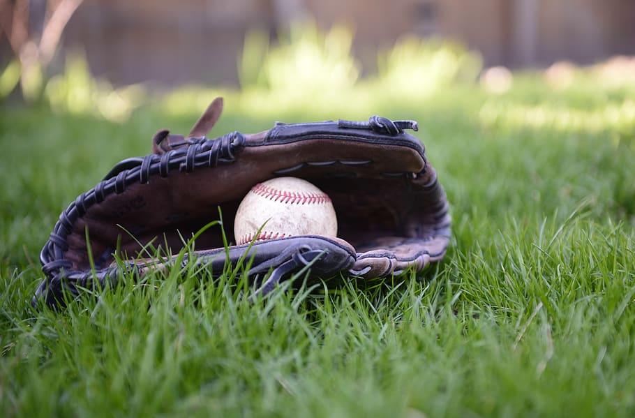 baseball, glove, ball, leather, sport, grass, plant, baseball - sport, baseball - ball, baseball glove