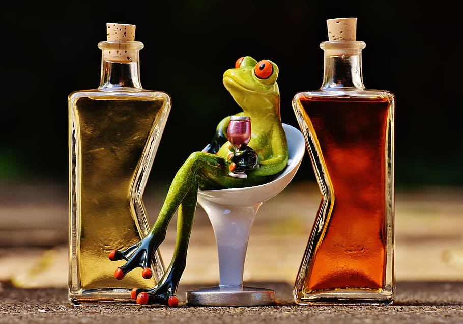 selective, focus photography, frog, holding, wine glass, sitting, frogs, chick, beverages, bottles