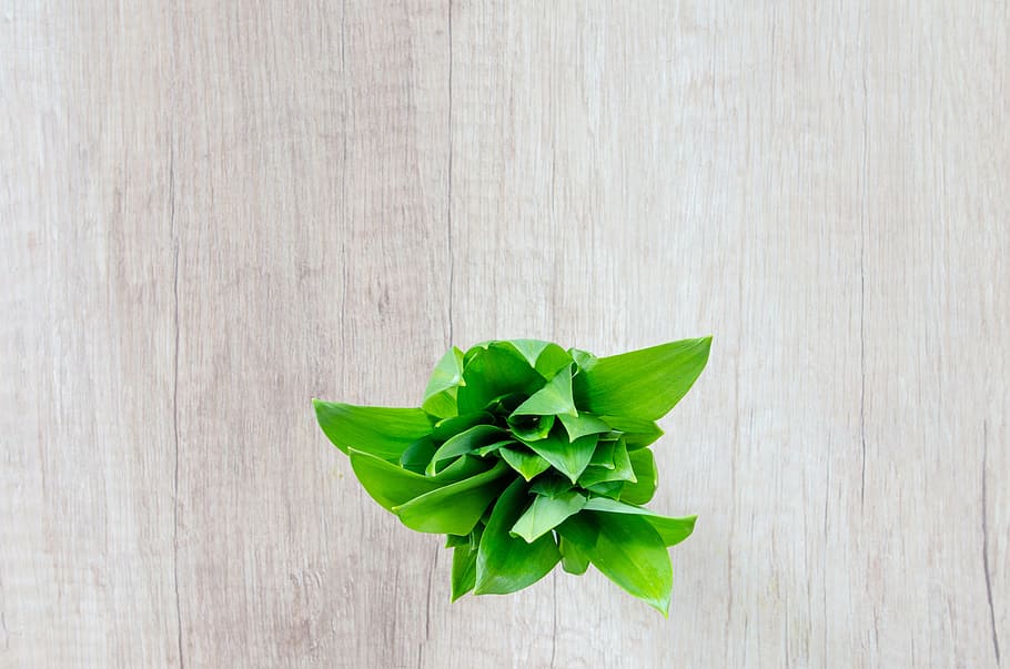 green, leaf plant, gray, wooden, surface, wood, table, herb, garlic, food