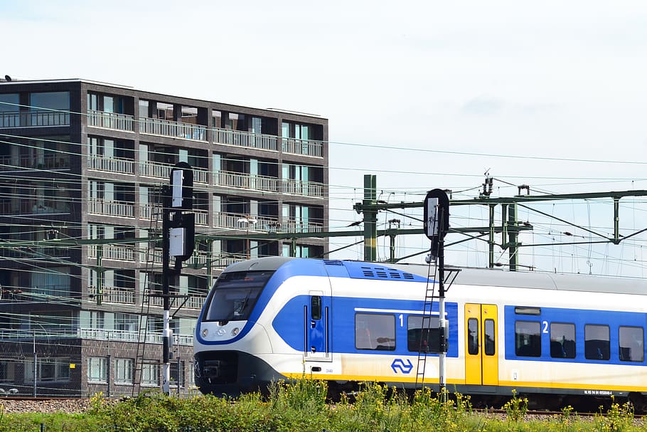 train, dutch, amsterdam, railway, netherlands, travel, trains, sprinter, mode of transportation, rail transportation