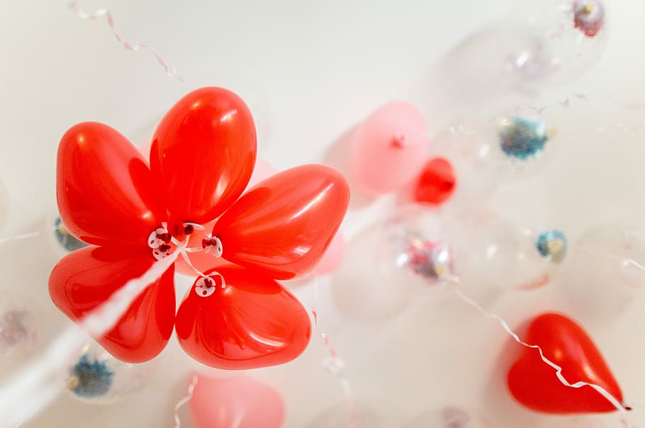 Balões, Celebração, balões flutuantes, hélio, decoração, vermelho, fundo branco, flor, estúdio tiro, beleza