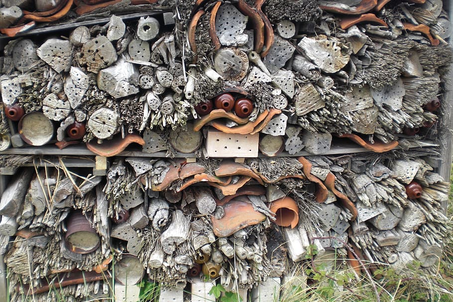 insect house, bee hotel, bees, texel, wood, naturnnistplatz, art, home, insect, park