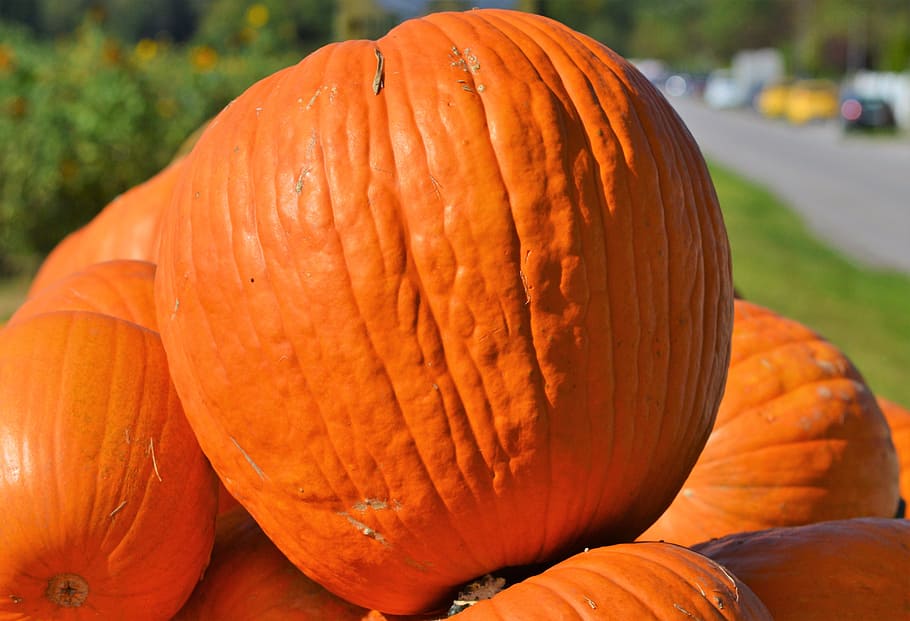 かぼちゃ, カボチャ, 野菜, 食べ物と飲み物, ハロウィーン, 食べ物, オレンジ色, 健康的な食事, 秋, クローズアップ