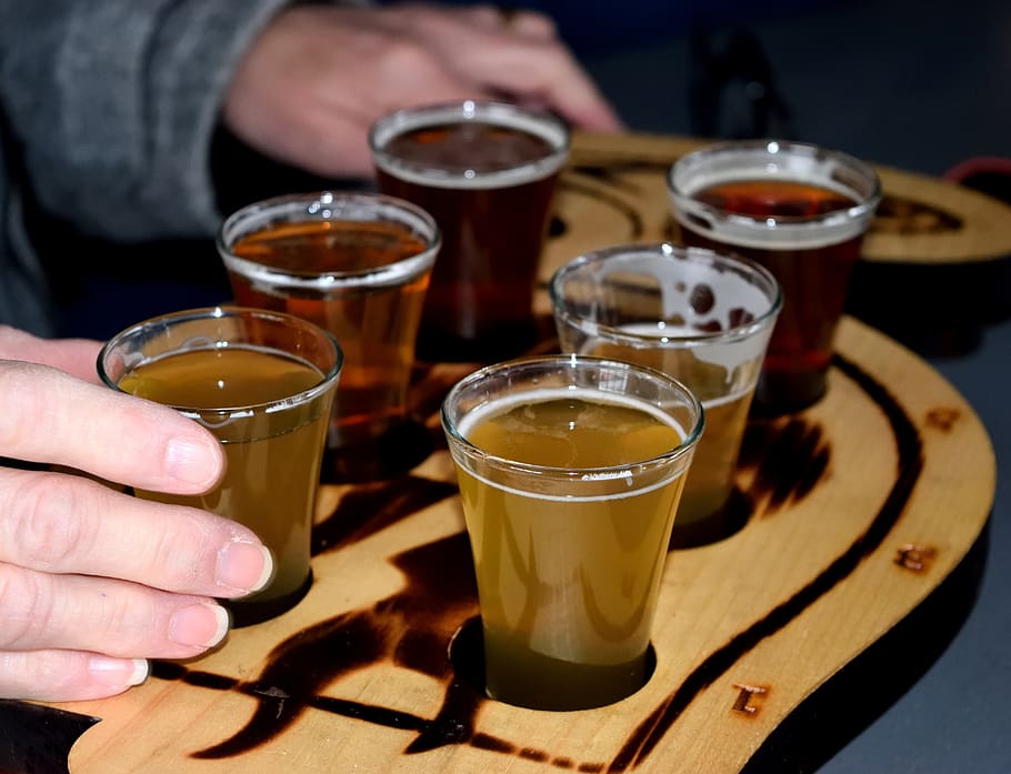 beer tasting flight, brewery, alcohol, ipa, ale, table, tasting, hops, beer, draft
