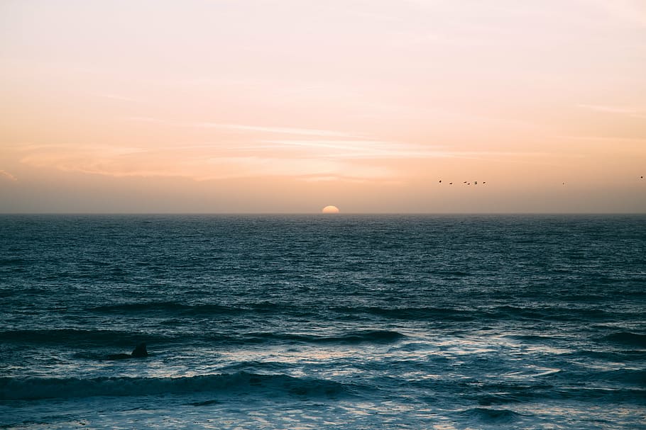 cuerpo, agua, dorado, hora, mar, océano, ola, horizonte, puesta de sol, amanecer