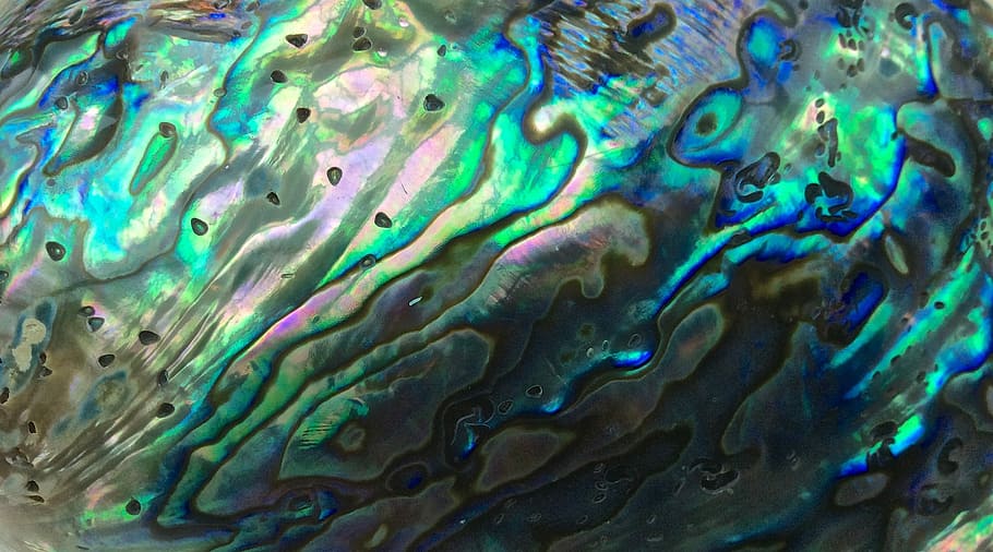 closeup, foto, hijau, biru, abstrak, lukisan, lukisan abstrak, kulit, laut, mutiara