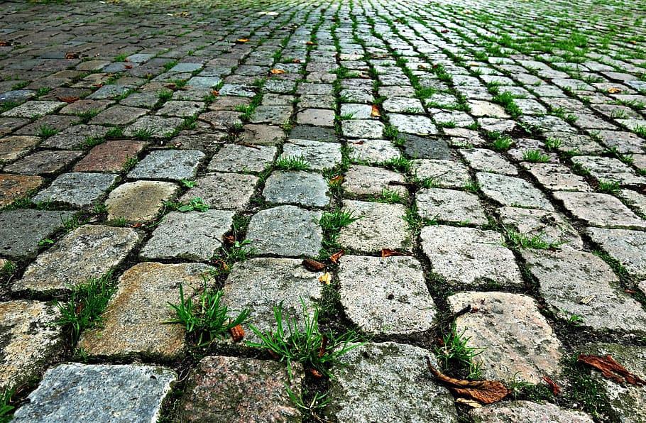 grama verde, pedra, paralelepípedos, pedras, rua, passarela, calçada, superfície, urbano, velho
