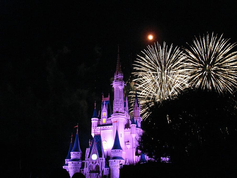 cinderella castle, Disney World, Nighttime, Vacation, fireworks, night, illuminated, outdoors, travel destinations, building exterior