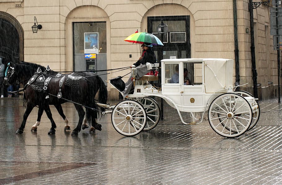 white, carriage, front, concrete, structure, cab, four of a kind, horses, transport, tourism