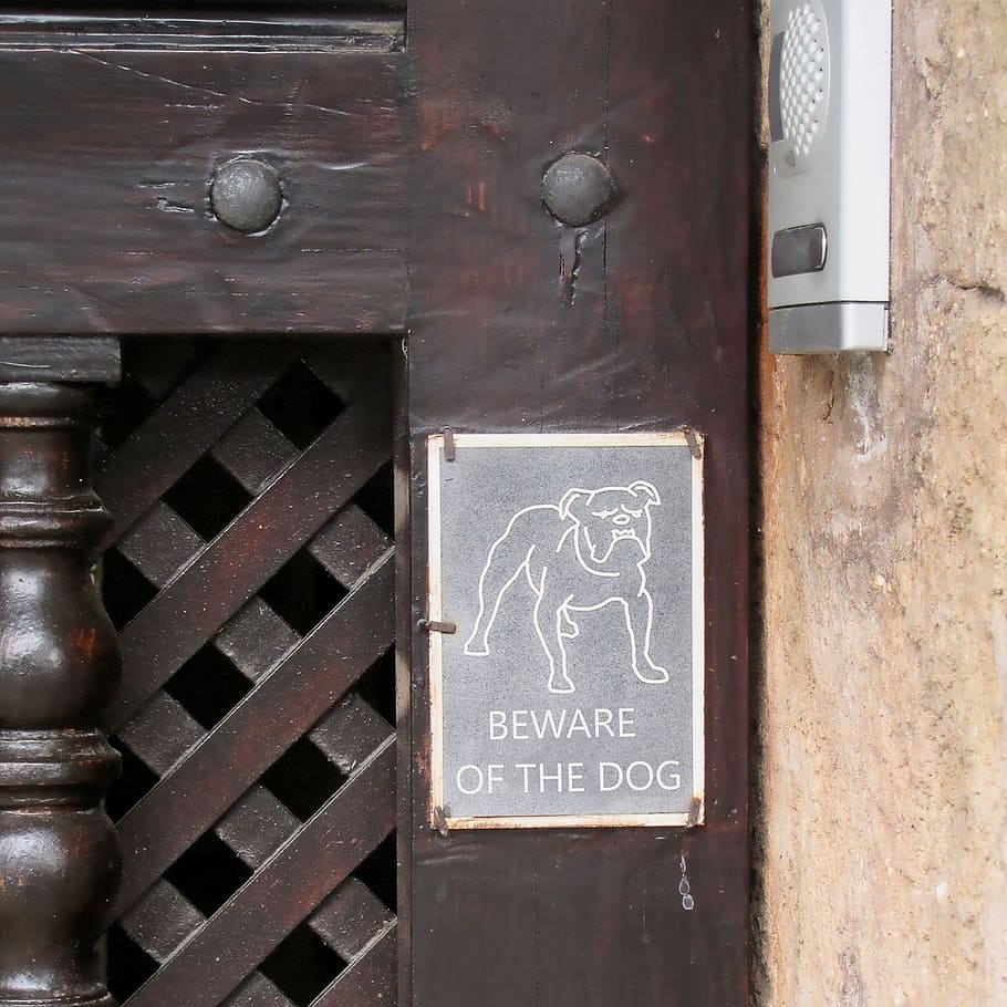 pintu depan, detail, waspadalah, peringatan, harap dicatat, pintu masuk, anjing penjaga, tua, teks, komunikasi