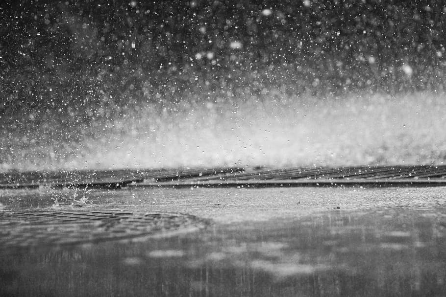 fotografi skala abu-abu, hujan, tetes, tetesan, pancuran, pemandangan, alam, air, basah, gerak