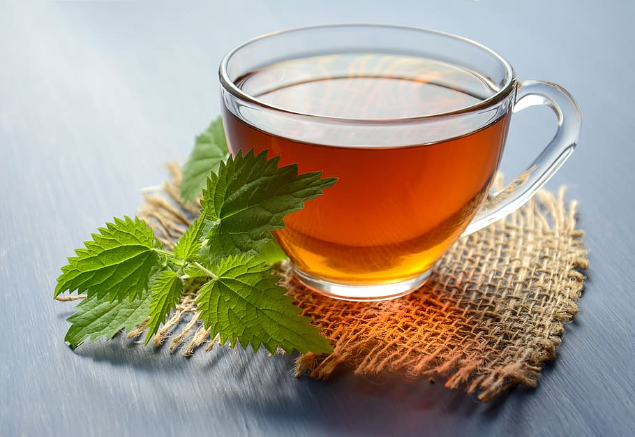 tea, herbal tea, nettle, drink, hot, herbal, mug, relax, traditional medicine, medicinal plant