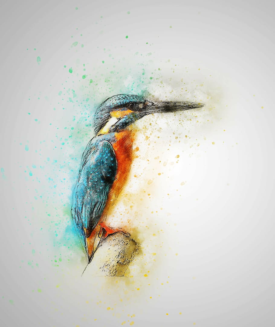 river kingfisher painting, bird, kingfisher, feathers, art, abstract, nature, animal, vintage, fishing