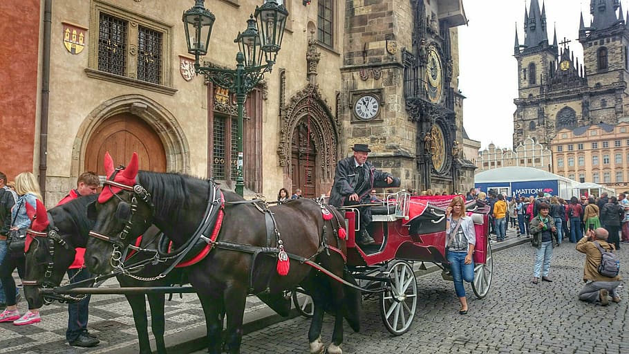 cab, monument, tour, prague, old, city, the style of the country, architecture, domestic animals, domestic