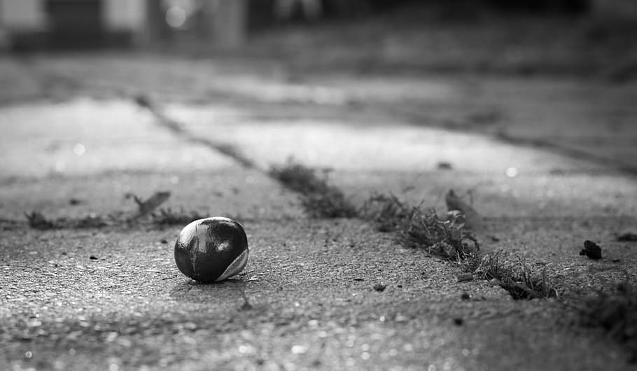 Acorn, Ground, Depth, Travel, the depth of the, path, long way, distance, hobby, relocation