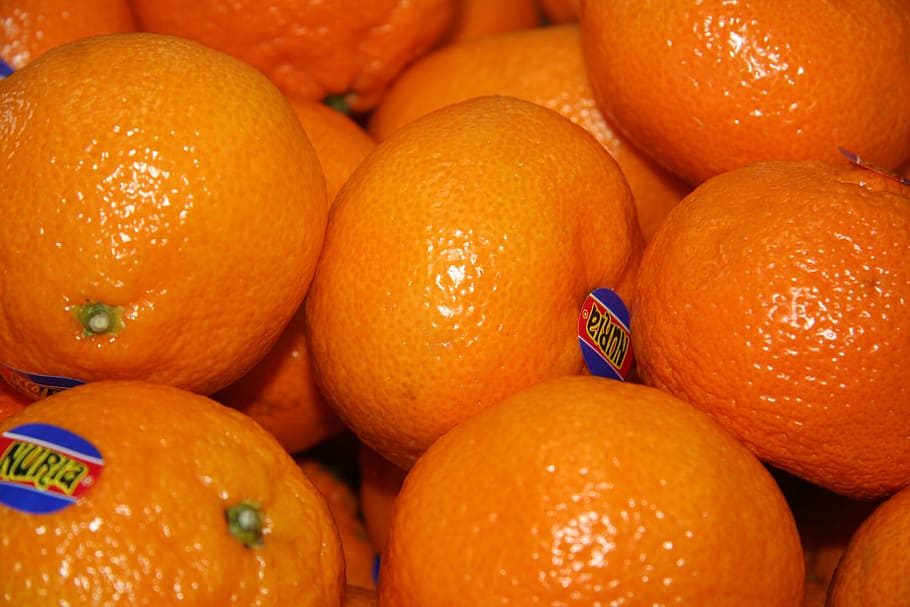 jeruk keprok, jeruk, buah, sitrat, makanan, sehat, makanan dan minuman, makanan sehat, warna oranye, buah jeruk